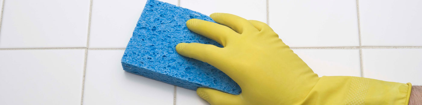 Sponge Cleaning